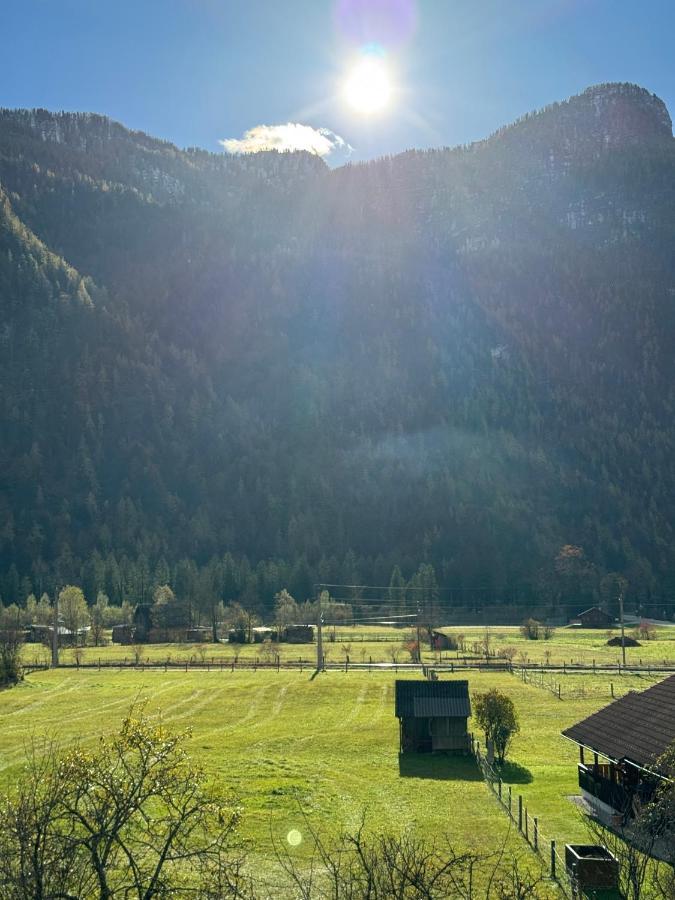 Haus Edelweiss Otel Obertraun Dış mekan fotoğraf